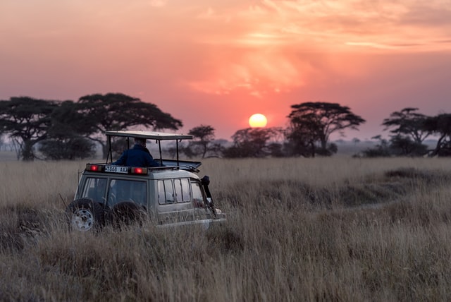 SAFARI EN TANZANIA PARA PAREJAS 